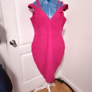 Elegant Pink Women's Dress